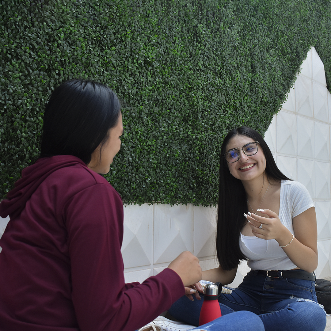 Imagen de galería