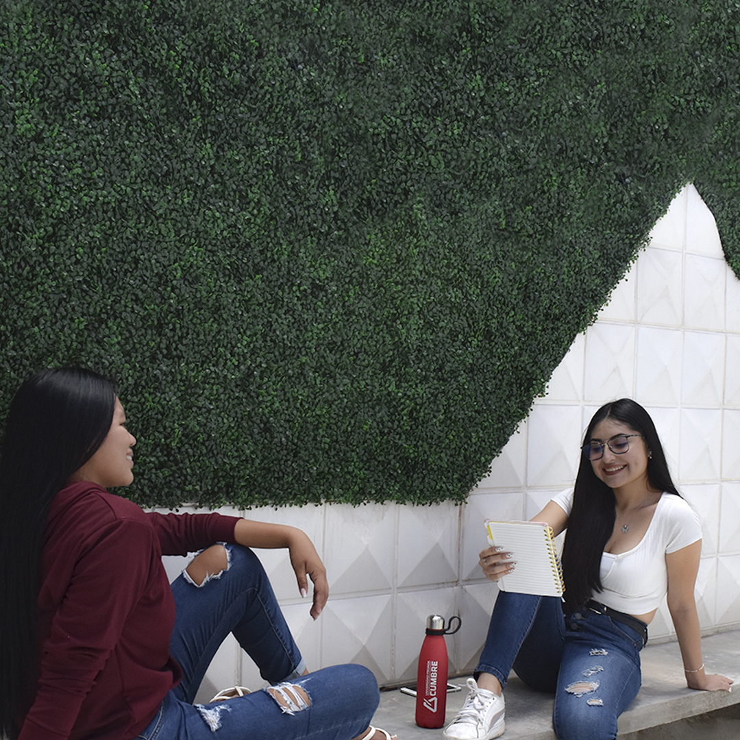 Imagen de galería